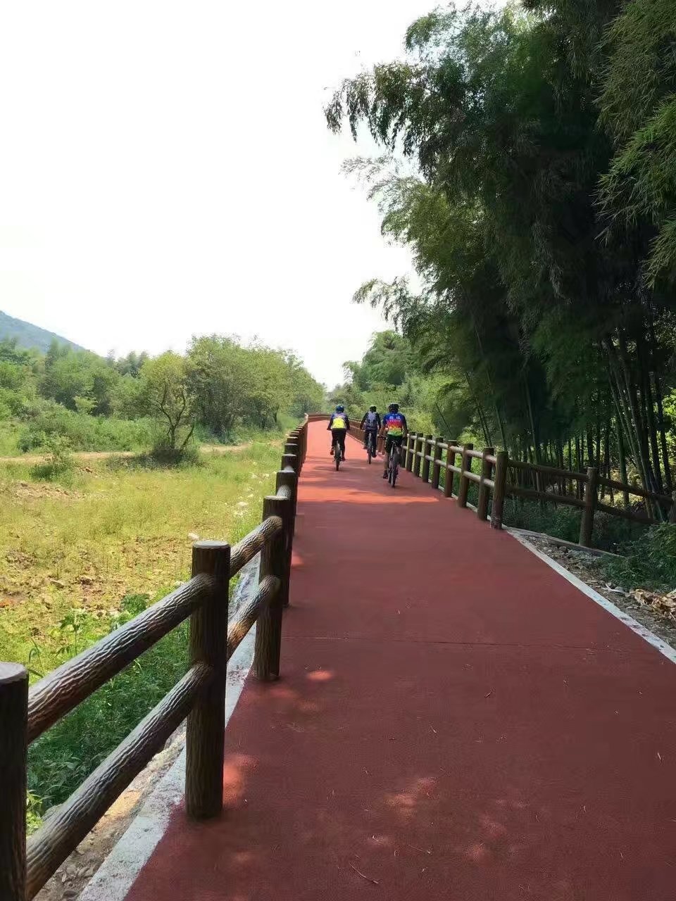仿樹皮兩（liǎng）扶手護欄 (26).jpg