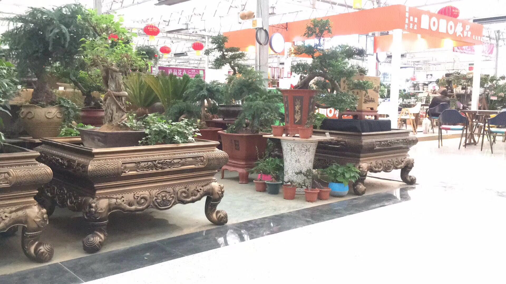 皇家仿古盆景 (3).jpg