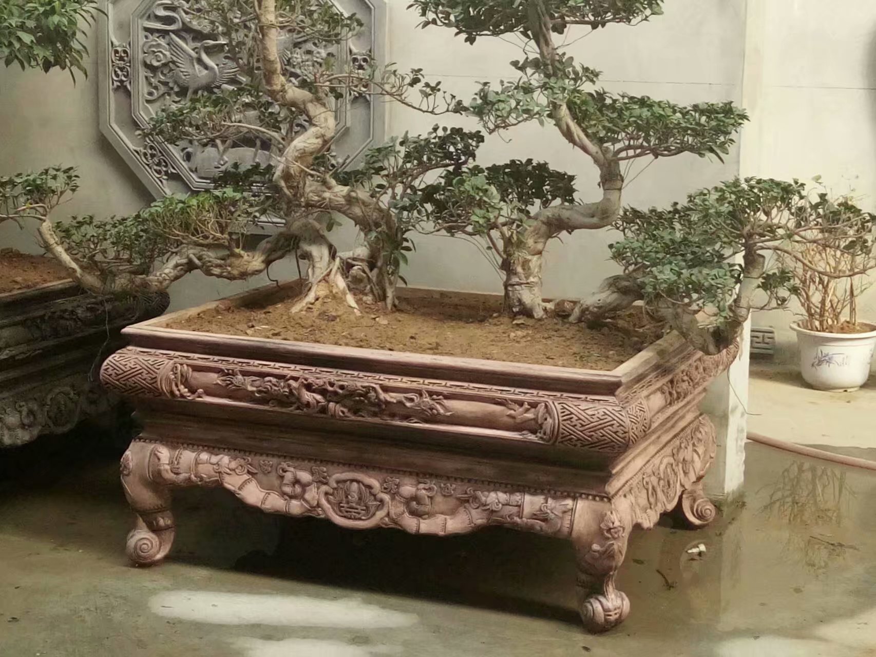 皇家仿（fǎng）古盆景 (1).jpg