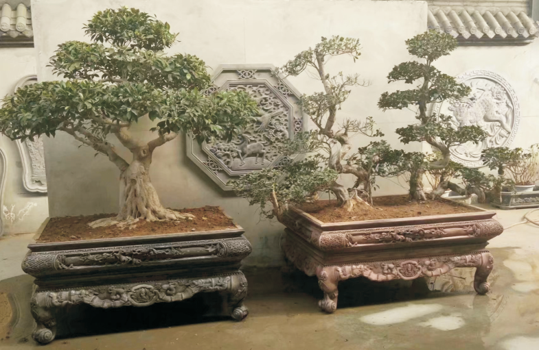 皇家（jiā）仿（fǎng）古盆景 (5).jpg