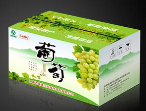 土特產包裝（zhuāng）箱
