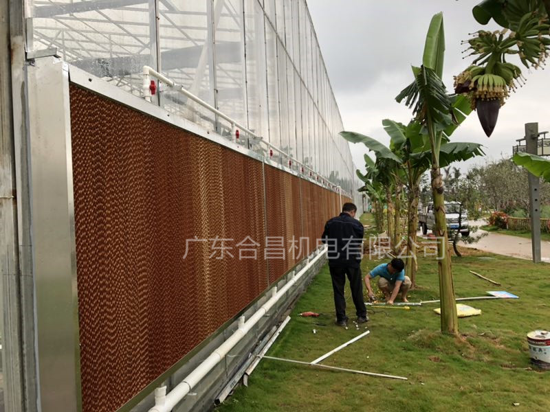 東江大棚基（jī）地（dì）---選擇合昌濕（shī）簾（lián）降溫工程