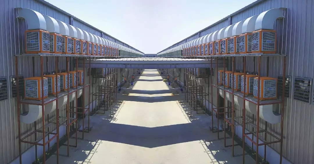 工廠廠房車間通風降溫解決方案