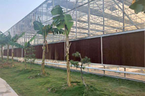 冷庫工程（chéng）