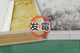 淨化車間材料隱患