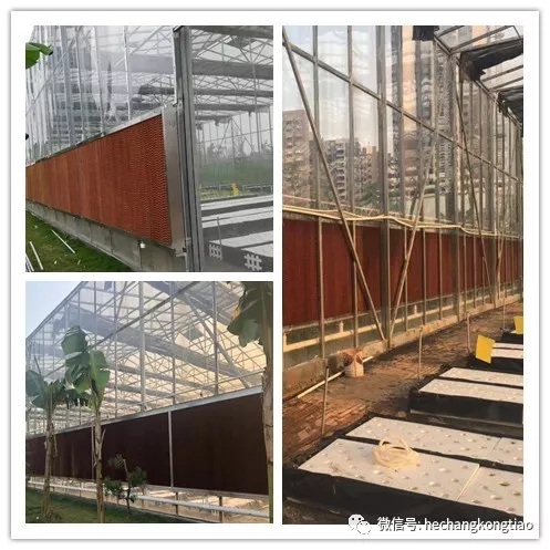 降溫工（gōng）程