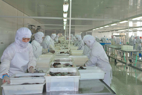 食品淨化車間要求