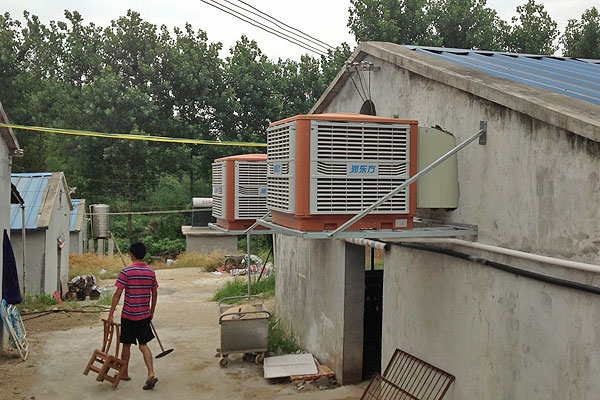 養豬場降溫通風