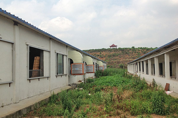 養豬場通風降溫