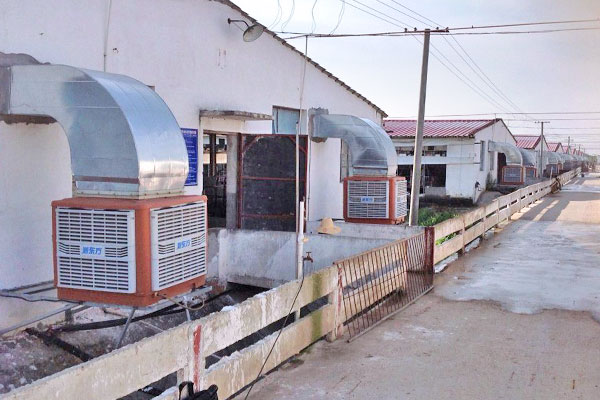 養豬場通（tōng）風降溫