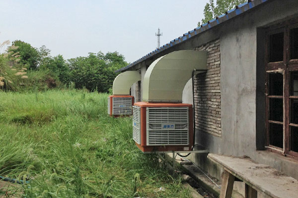 養豬場通（tōng）風降溫