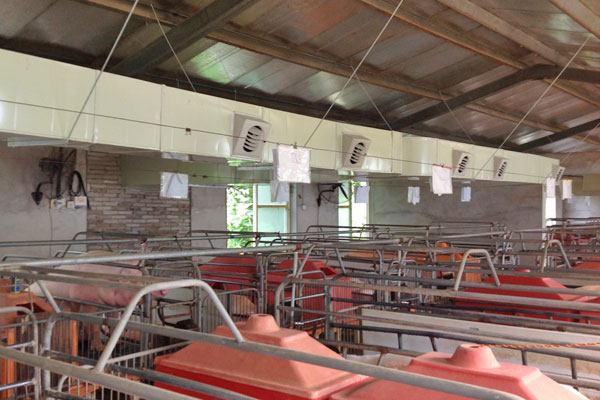 養豬（zhū）場通風降（jiàng）溫