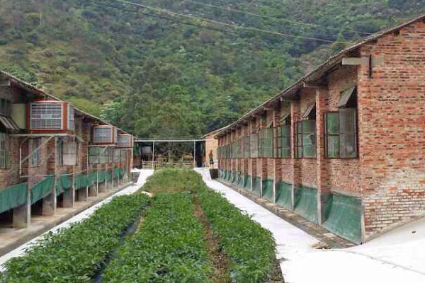 養豬場通風降溫