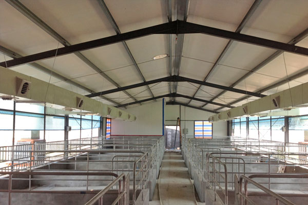 養豬場降溫通風