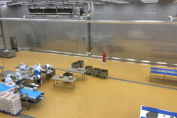 食品淨化（huà）車間